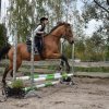 bABIE lATO 2018